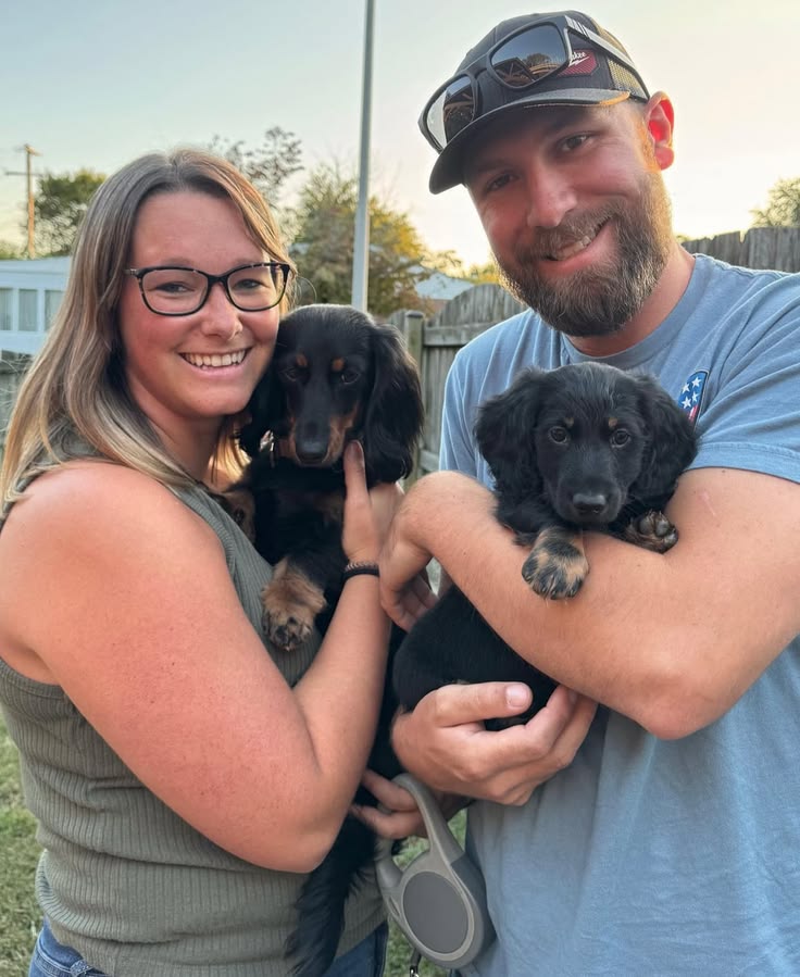 Dachshund Puppies